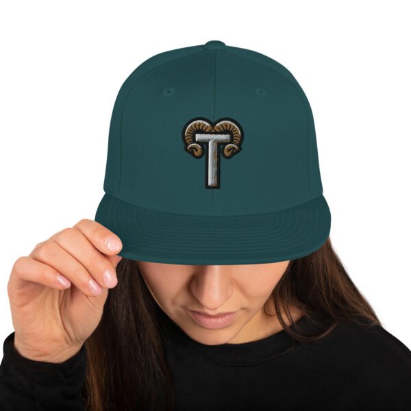 Tahoe Big Horns TL;DR Baseball Snapback Hat