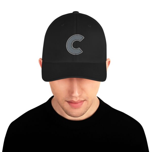 Chicago Mafia TL;DR Baseball Flexfit Closed Back Cap