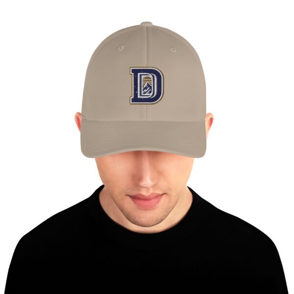 Denver Avalanche TL;DR Baseball Flexfit Closed Back Cap