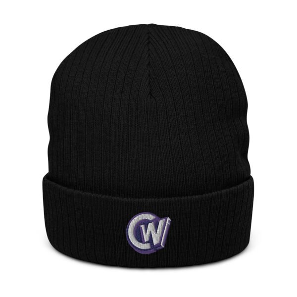 Calgary Winter TL;DR Baseball Ribbed knit beanie