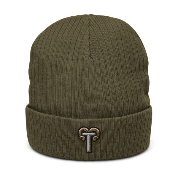 Tahoe Big Horns TL;DR Baseball Ribbed knit beanie